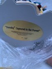 The Franklin Mint 2000 Wizard Of Oz Dorothy Captured In The Forest Figurine — photo 6