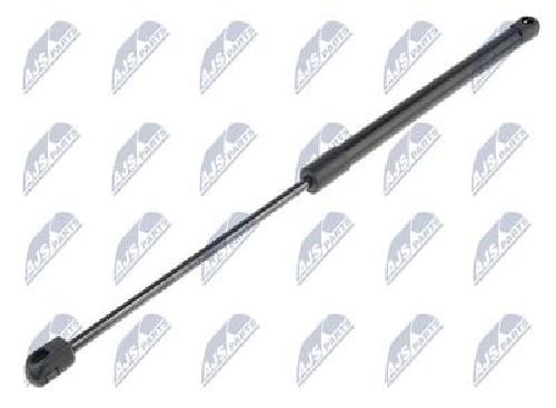 Original NTY Gasfeder Koffer-/Laderaum AE-SK-017 FüR Skoda-image