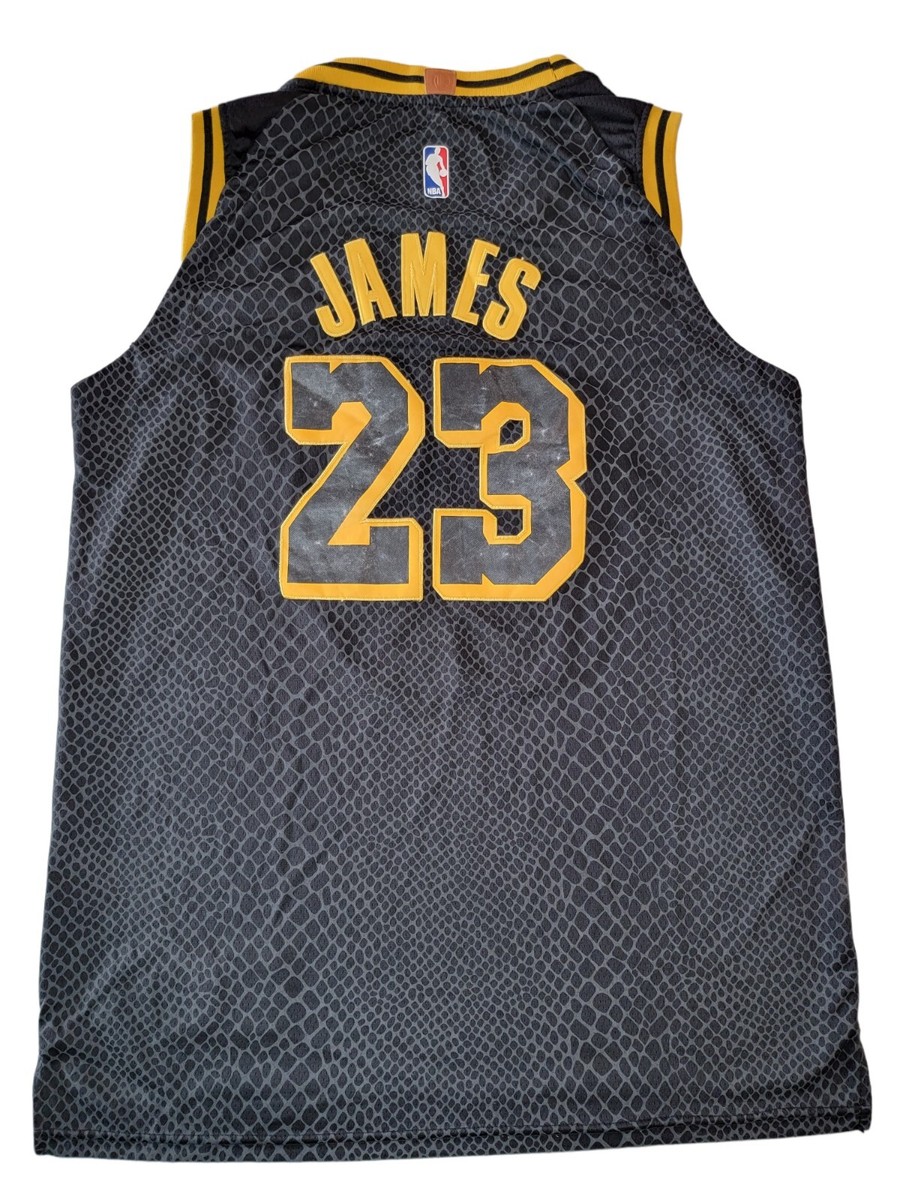 LeBron James Lakers #23 Nike Wish NBA Swingman Jersey - size 50