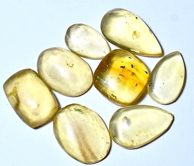 27.15 CT Untreated Natural Tanzania Yellow Amber Lot Of 8 Pcs Small Insect Gem
