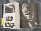 Foto 7 di 12