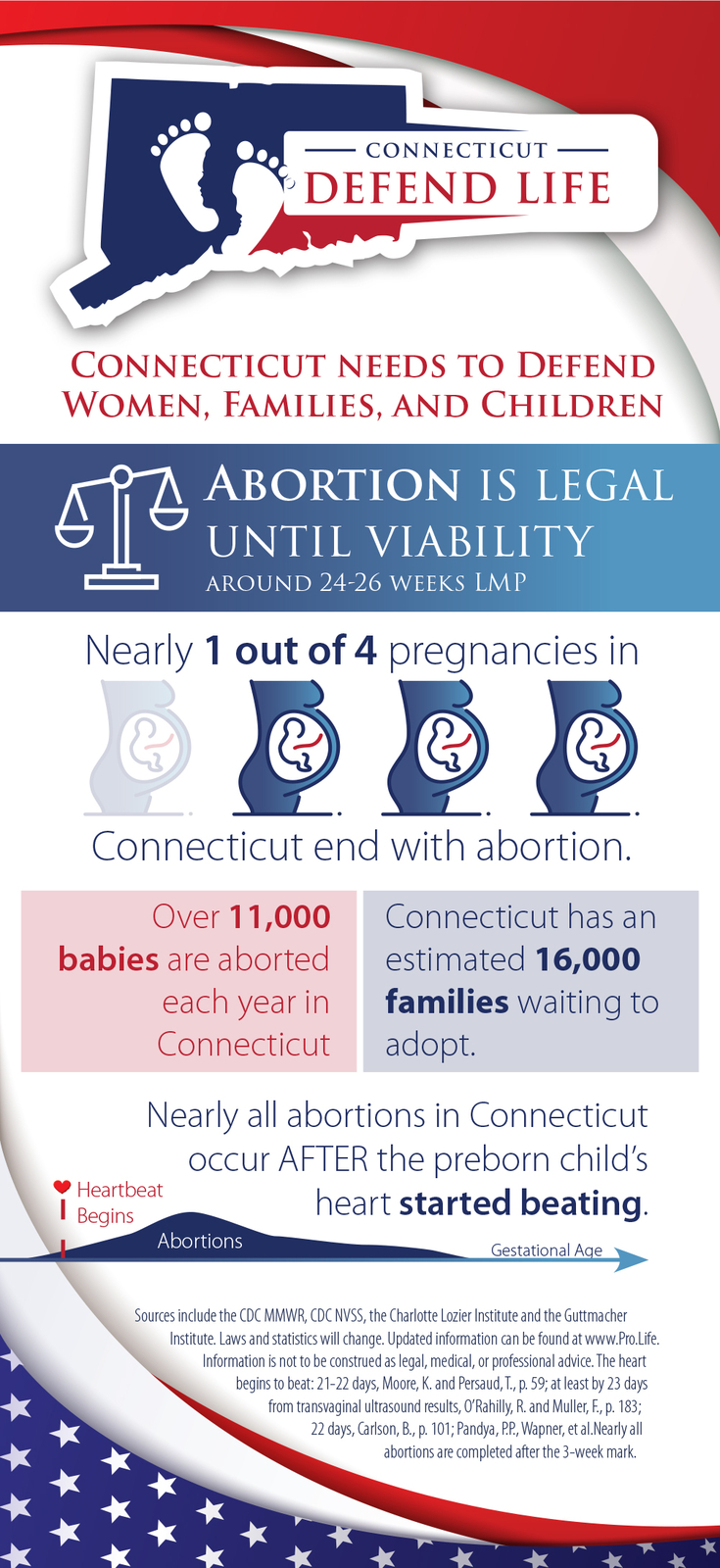 Connecticut Stats Card Brochure (Pack of 50)