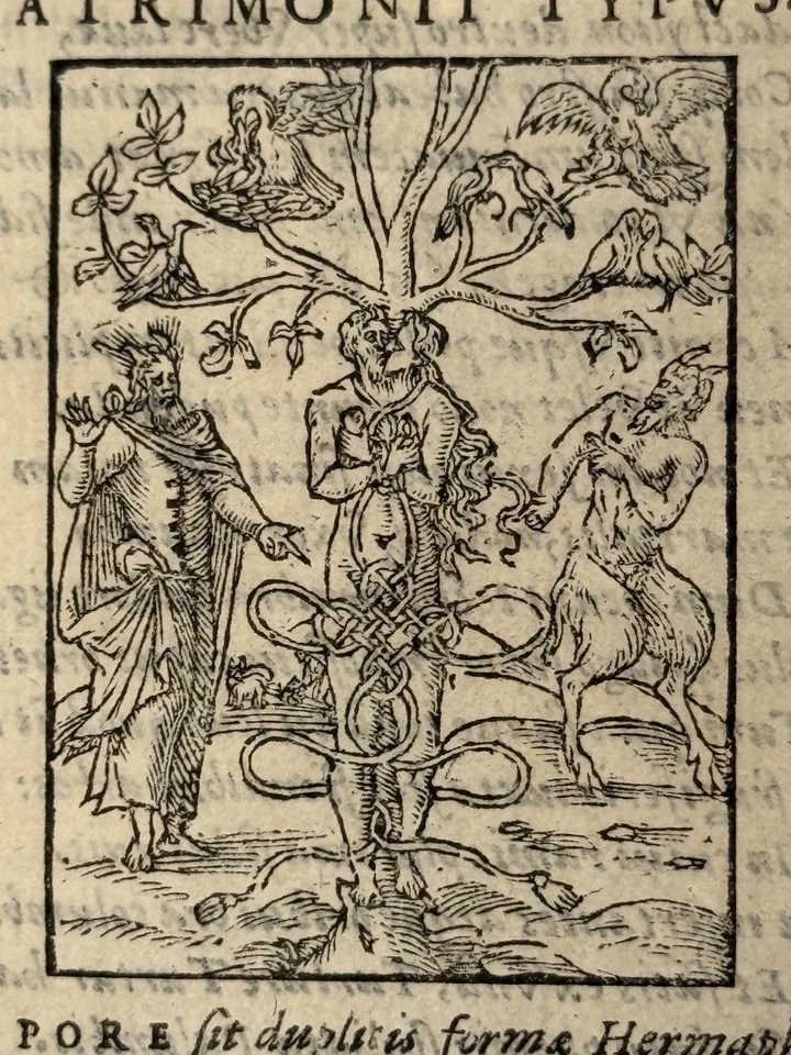 Picta Poesis 1564 Barthelemy Aneau 106 Woodcuts Emblemata EARLY TENNIS DEPICTION - Image 2 of 4