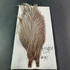Dyed Smokey Med. Blue Dun Dry Fly Hackle Neck Cape Dry Fly Tying Feathers #94
