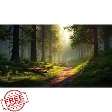 Riivvdise 30x18in Winding Dirt Road Forest Aquarium Background, Reptile Habitat