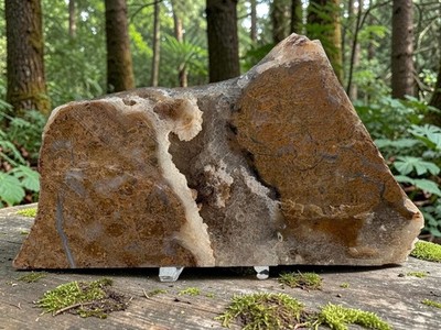 Natürlicher Jaspis Druzy Scheibe Ausstellungsstück | Erdbraun Quarz Kristall Präparat