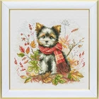 Counted Cross Stitch Kit Yorkie dog DIY VDV