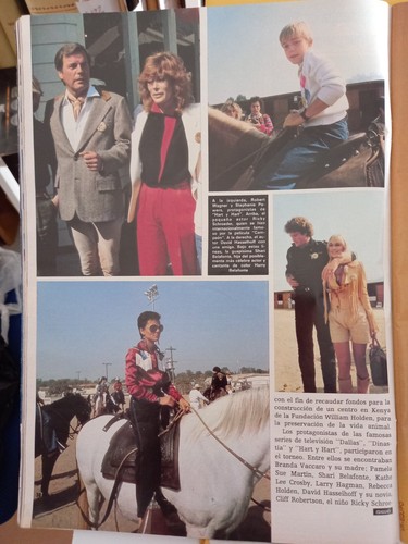 h 2047 clips stephanie powers larry hagman WILLIAM holden robert wagner pamela - Picture 2 of 3