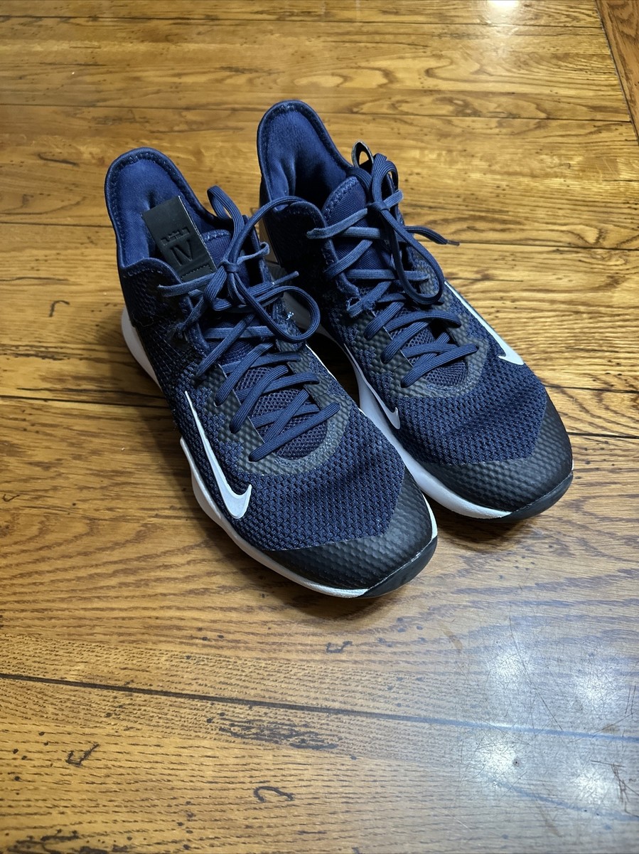 nike lebron witness iv tb