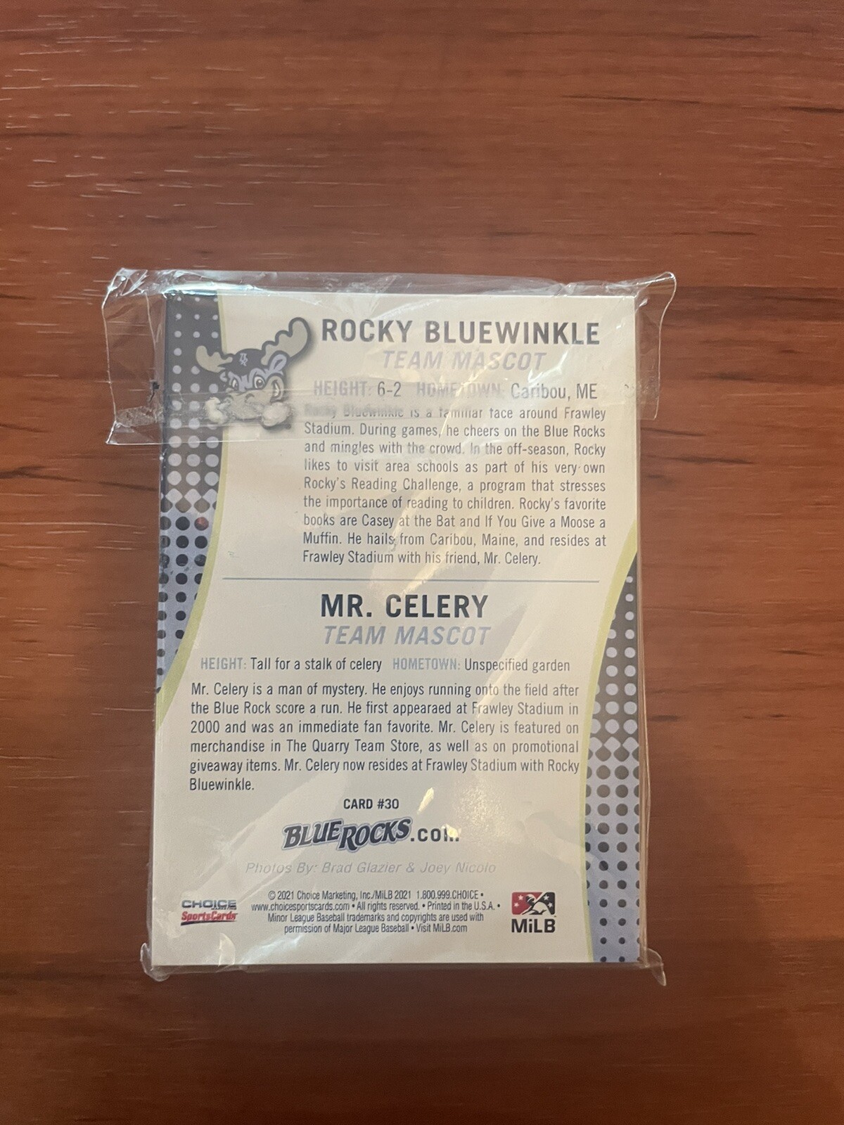 2021 Wilmington Blue Rocks High A Washington Nationals Complete 30 Card