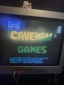 Caveman Games Nintendo NES