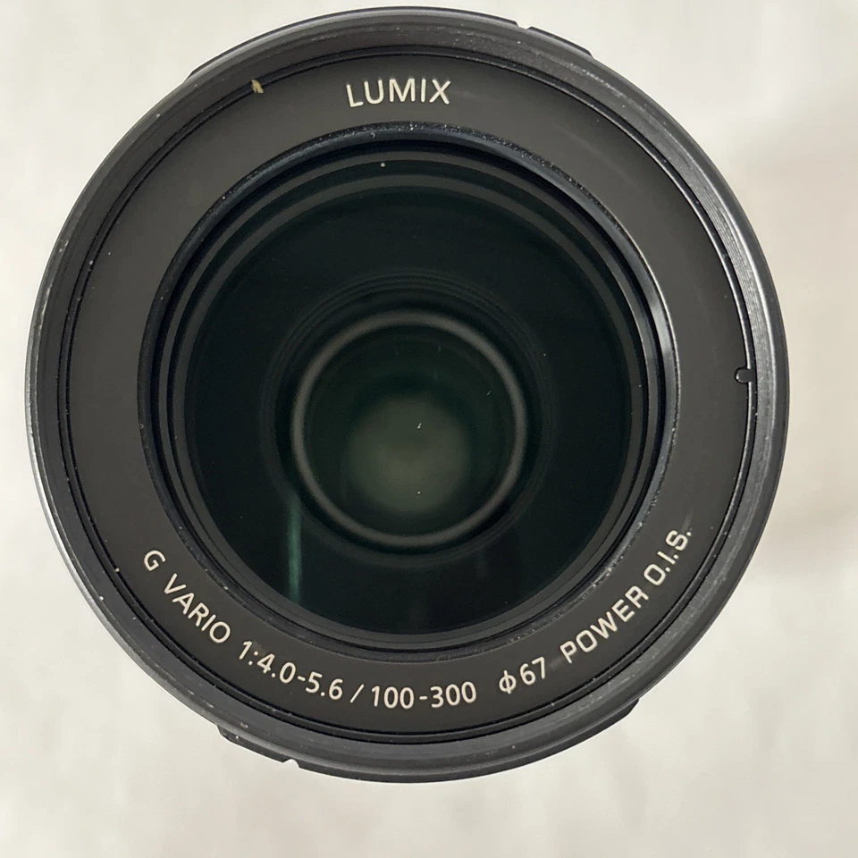 Panasonic LUMIX G VARIO 100-300mm F/4-5.6 Power O.I.S. Lente zoom con tapas y bolsa Foto 2 de 4