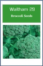 Waltham 29 Broccoli Seeds: Non-GMO Heirloom Variety