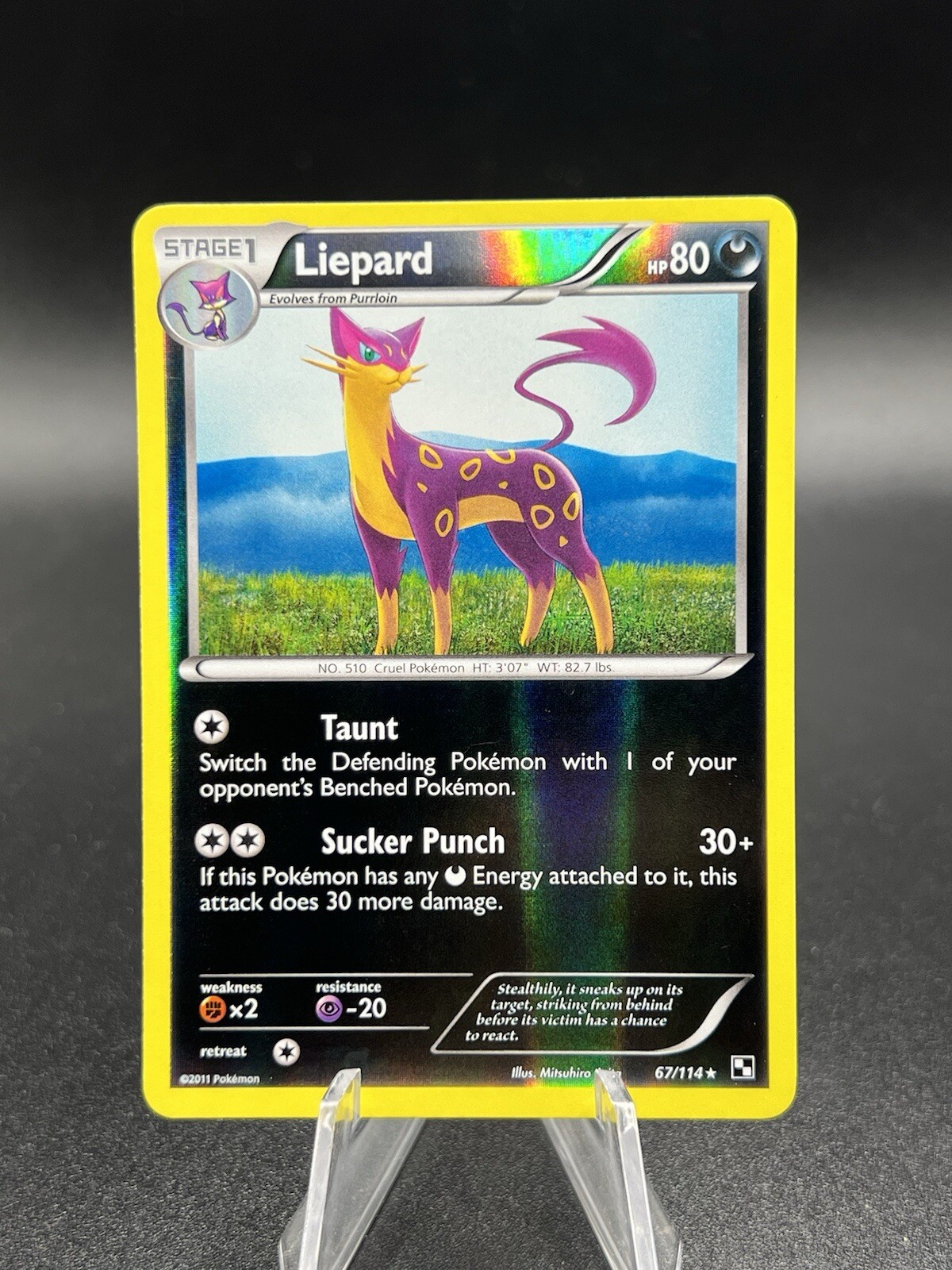 Pokemon Card Liepard Black & White Rare 67/114  Near Mint  LB1