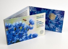 Estonia Coincard 2 Euro 2024 Estonian National Flower, the Cornflower