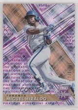 2019 Panini Elite Extra Edition Aspirations Purple /250 Miguel Hiraldo #117 0q3