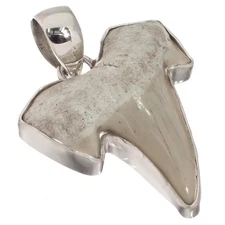 925 Silver Small Genuine Complete Shark Tooth Fossil Sterling Pendant, 1 1/8"