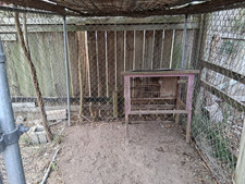 Outdoor Chain Link Dog Kennel Enclosure Pen w/ Roof Gate for Large Dogs