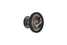 Thermostat Mazda TRIBUTE