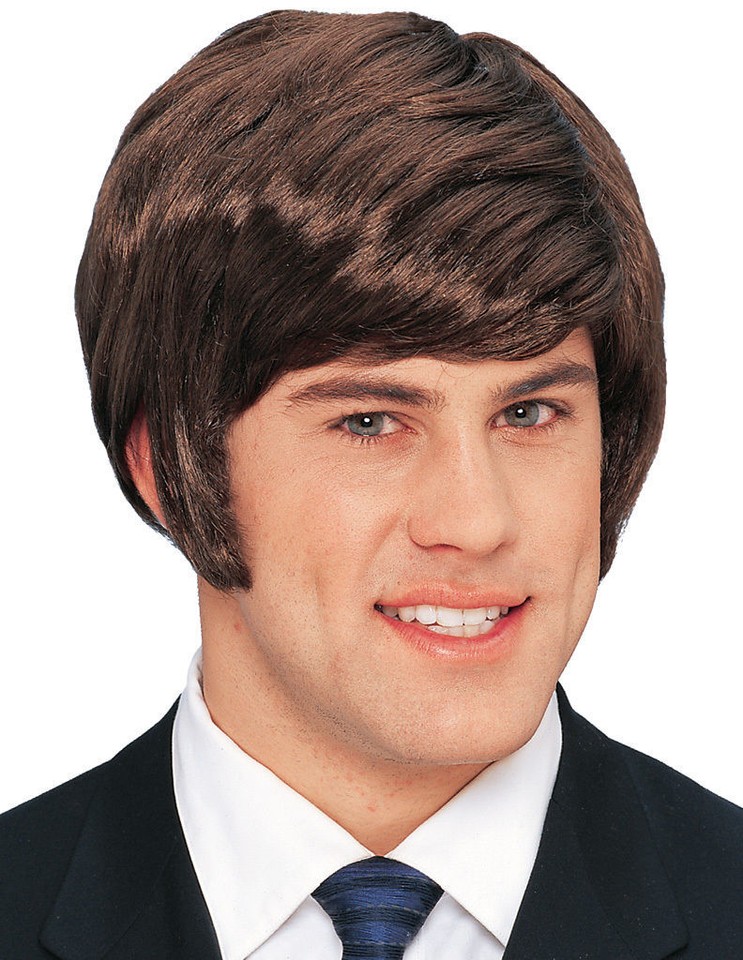 1970S 70'S 80'S SHAG SURFER ADULT MENS MALE DUDE SHORT COSTUME WIG