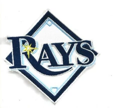 NEW 3 1/2 INCH TAMPA BAY RAYS IRON ON PATCH FREE SHIP