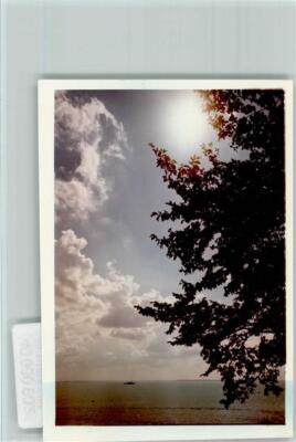 40060902 - 2430 Pelzerhaken Sonne zwischen Wolken und Baum