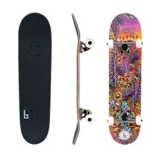 Braille 2Pcs Skateboarding Pro Complete Skateboard, Multicolor - 31 In. x 7.75