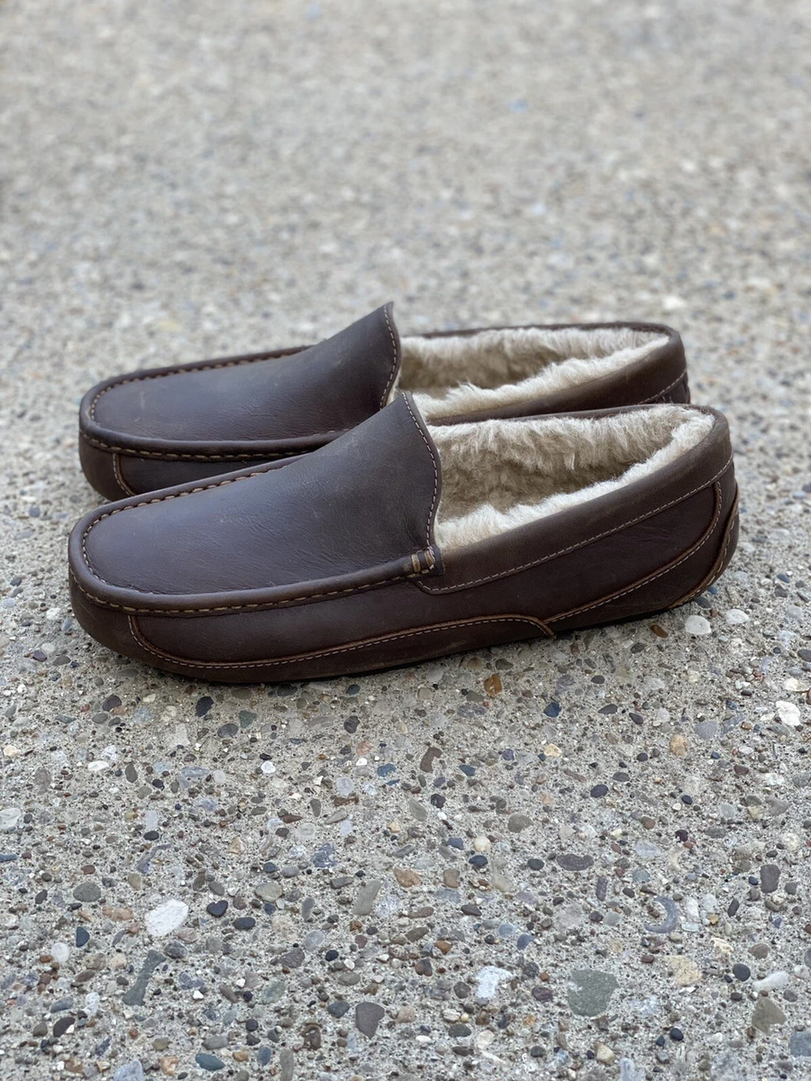 Mens ugg ascot slippers on sale store