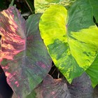Bild 22 von 24