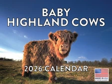 Baby Highland Cow Calendar 2026 Monthly Wall Calender 12 Month 12x18