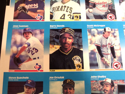 rare fleer baseball cards 1990 Dan Petry Fleer Baseball Card #142