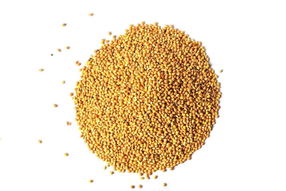 25kg Hirse gelb weiß lose Vogelfutter Körnerfutter Kanarien Vogel Wellensittich - Bild 2 von 4
