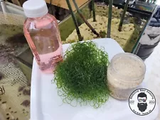 LIVE Saltwater Starter Kit 16oz Liquid Coralline Algae, Chaeto, LIVE Sand