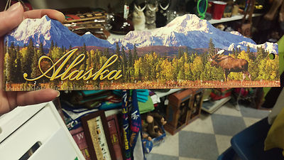 Alaska 12 inch ruler With Beautiful Photo of Denali Mount McKinley ...