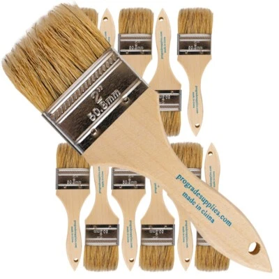 PROGRADE SUPPLIES 12 Pk- 2 inch Chip Paint Brushes for Paint, Stains,Varnishes,Glues,Gesso