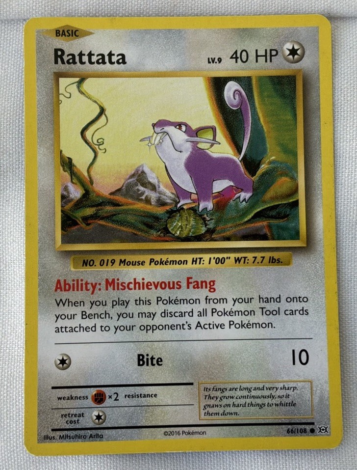 Pokémon Rattata Evolutions 66/108 Regular 40 HP Common Mischievous Fang Bite