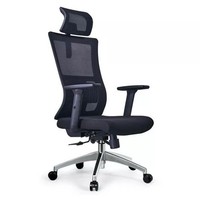 Ergonomics Office Chair Adjustable Headrests and Lumbar Support High Back