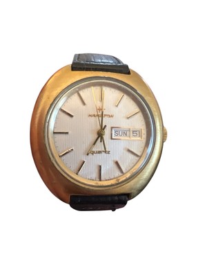 Vintage Hamilton Watch Men 36mm Gold Electroplate Bezel Day Date Calendar
