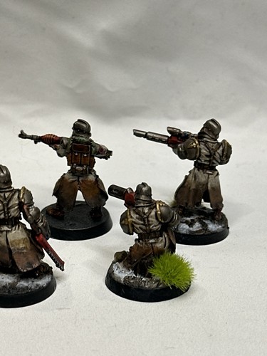 Warhammer 40k Death Korps of Krieg Squad FW PRO PAINTED Assault Squad GW - Picture 14 of 14