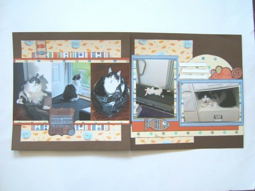 Pagine album gatti o gattini, pagine prefabbricate per gatti, layout album per gattini - Foto 2 di 11