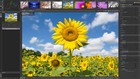 Bild 7 von 11