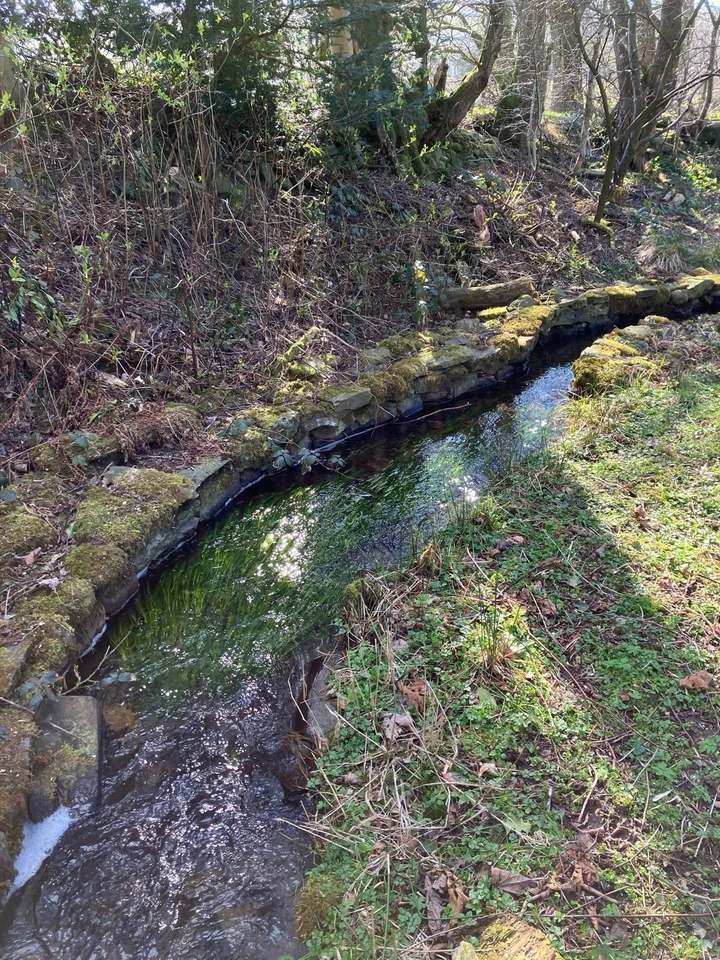 0.5ha Woodland. Yorkshire Dales National Park. Alder, Oak, Rowan, Holly, Hazel. - Image 3 of 4