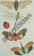 🐞  Mrs Grossman's INSECTS Bugs Studio Line Stickers Vintage Retired 2002