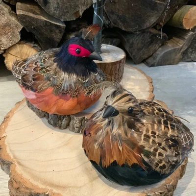 Sitting Partridge Feather Decoration Christmas Figure Country Gisela Graham Game