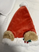 Japan Tokyo Disney Resort Fan Cap Santa cap Duffy ears design 2024 Christmas