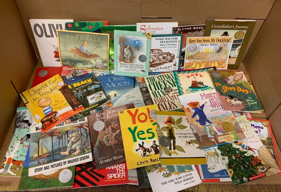 Lot of 15 Caldecott Honor Award Winning Chapter Children Kid Books AR*RANDOM MIX Foto 2 de 4