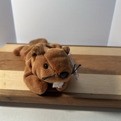 TY Beanie Baby Original 1995 Bucky Beaver plushie Retired