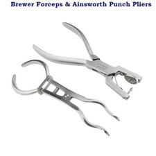 Zahn Endodontie Elfenbein