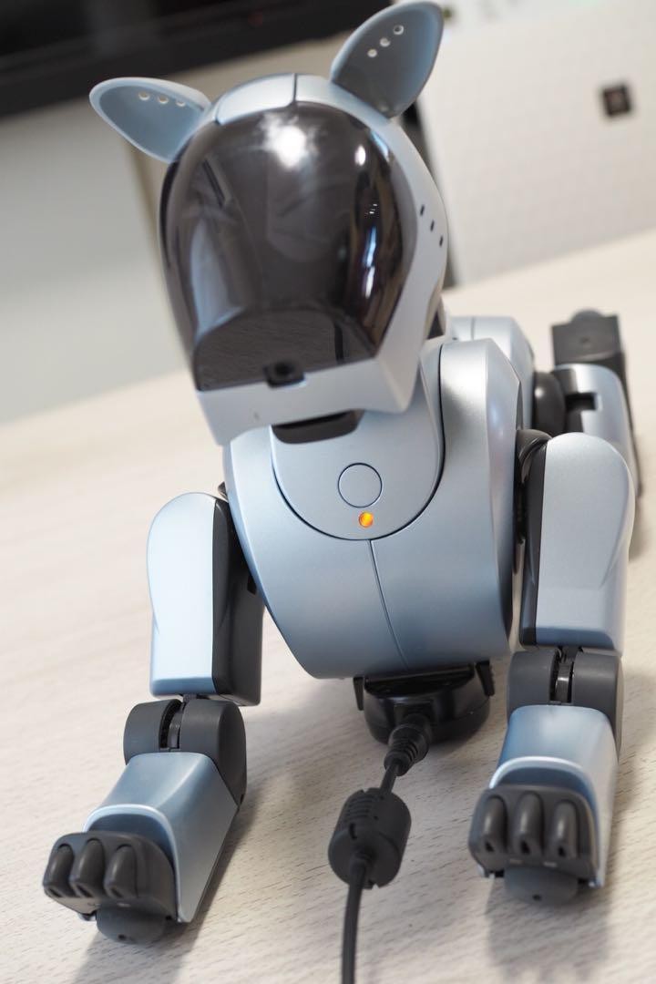【限定】aibo ERS-210 マゼラングリーン　アイボ　ロボット ERS-210 Aibo Overview | Learn About Aibo | Virtual Paws