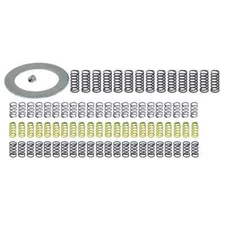 GM 700R4/4L60E New TransGo 3-4 Clutch Spring Kit
